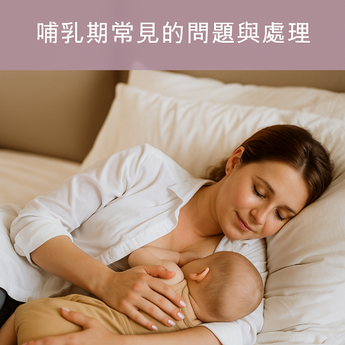 哺乳期常見哺乳與乳房問題與處理