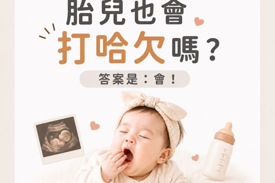 胎兒也會打哈欠嗎？